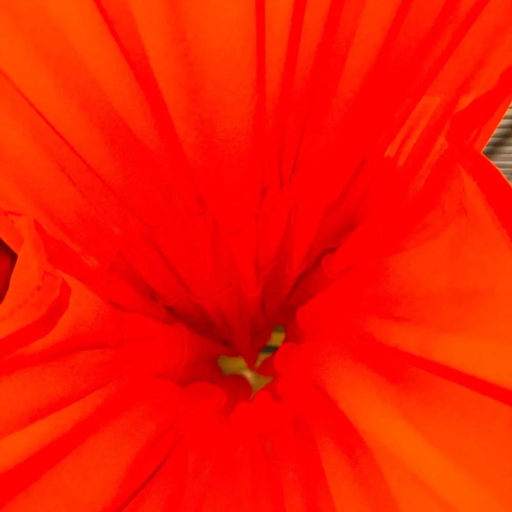 NWOT | Made In Italy | Neon Orange Ruffle Pleated Tiered Maxi Dress - Picture 4 of 4